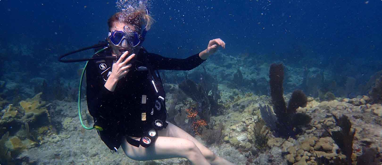 Adventure Diving Bali - 3377官网